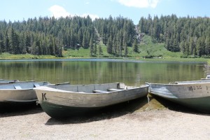 row boats    